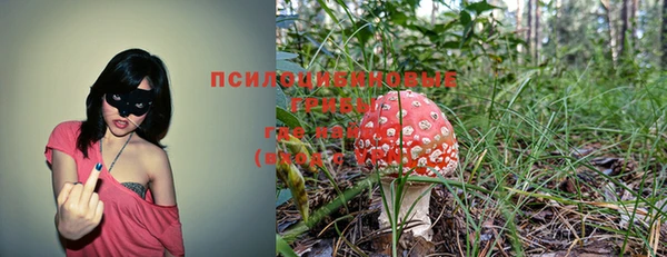каннабис Верея