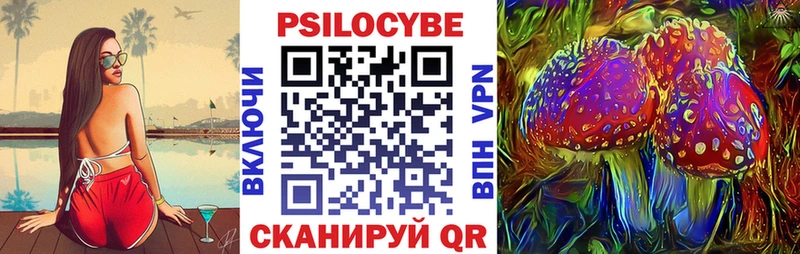 Купить  Горно-Алтайск  Псилоцибиновые грибы GOLDEN TEACHER 